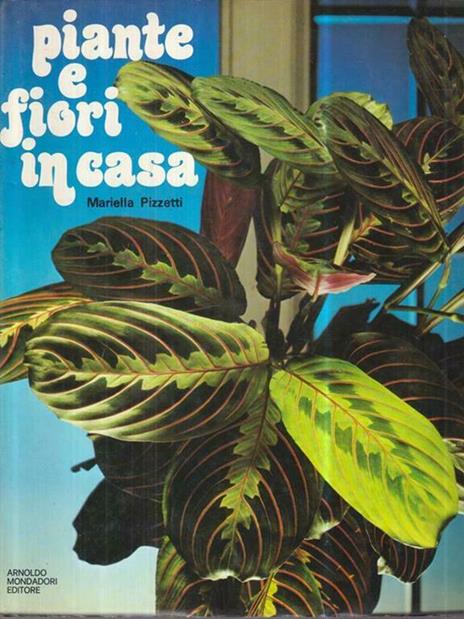 Piante e fiori della casa - Ippolito Pizzetti - 4