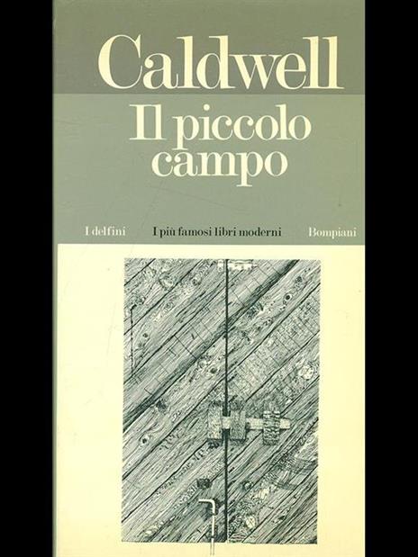 Il piccolo campo - Erskine Caldwell - 7