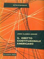 Il diritto costituzionale americano