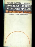 Il socialismo diviso