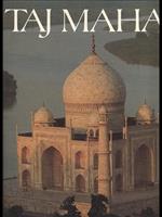 Taj Mahal. Ediz. illustrata