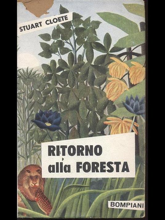 Ritorno alla foresta - Stuart Cloete - 6