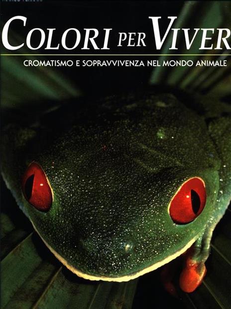 Colori per vivere - Marco Ferrari - 2