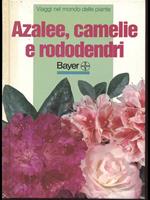 Azalee, camelie e rododendri