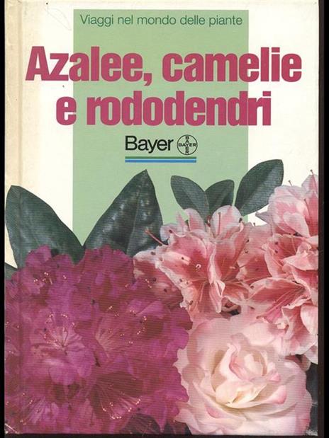 Azalee, camelie e rododendri - Eliana Angiuli - copertina