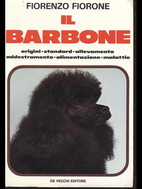 Il barbone - Fiorenzo Fiorone - 3