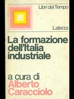 La formazione dell'Italia industriale