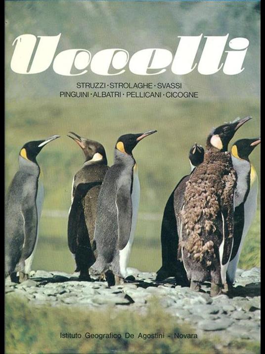 Uccelli - Sergio Frugis - 6