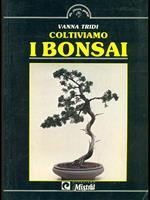 Coltiviamo i bonsai