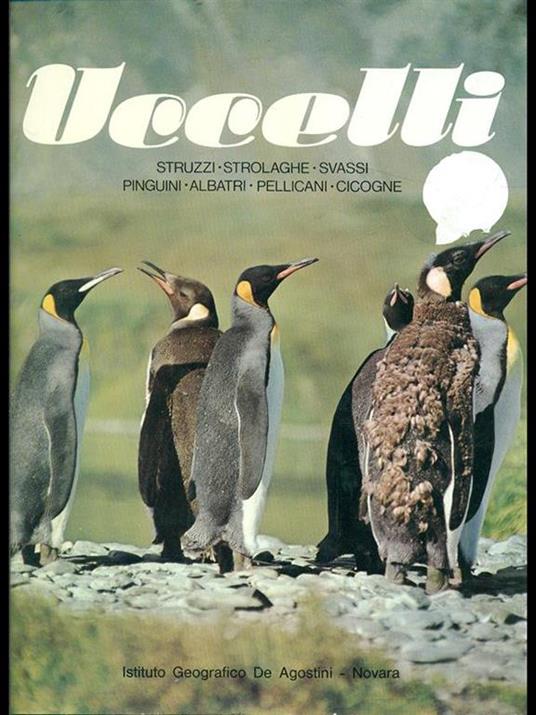 Uccelli: struzzi, strolaghe, svassi, pinguini, albatri, pellicani. Cicogne - Sergio Frugis - 6