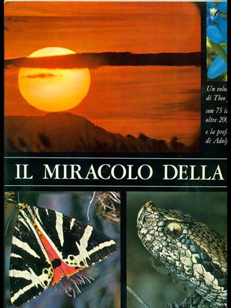 Il miracolo della vita - 2