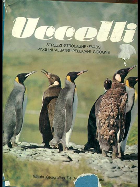 Uccelli - Sergio Frugis - copertina