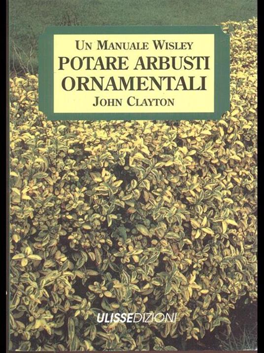 Potare arbusti ornamentali - 7