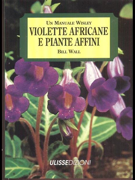 Violette africane e piante affini - Bill Wall - 8