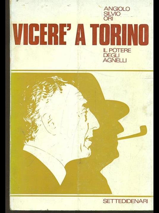 Viceré a Torino - Angiolo S. Ori - copertina