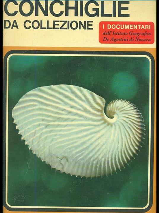 Conchiglie da collezione - Sergio Angeletti - copertina