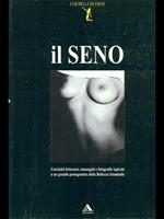 Il seno