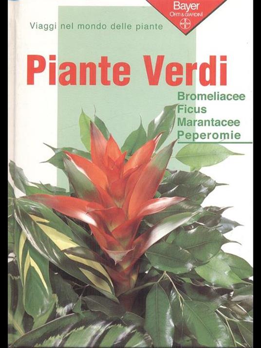 Piante verdi 2-Bromeliacee Ficus Marantacee Peperomie - Eliana Angiuli - 8