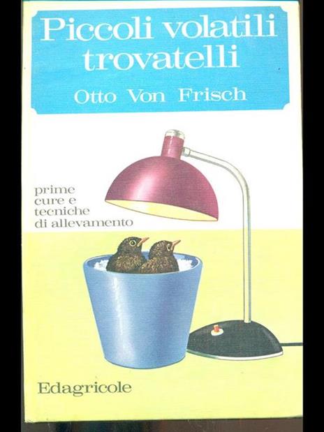 Piccoli volatili trovatelli - Otto von Frisch - 2