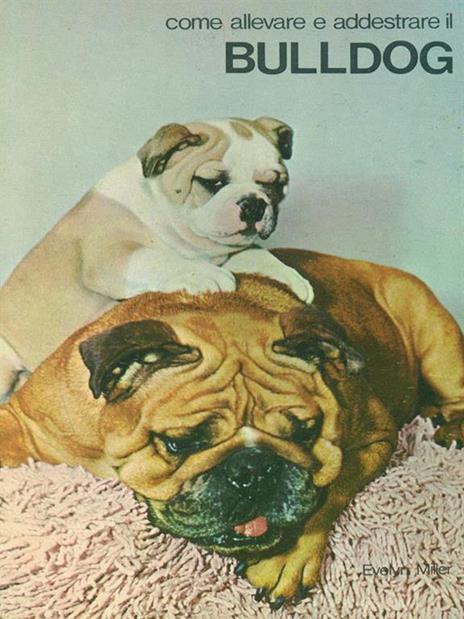 Come allevare e addestrare il bulldog - copertina