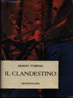 Il clandestino