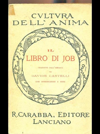 Il libro di Job - Davide Castelli - copertina