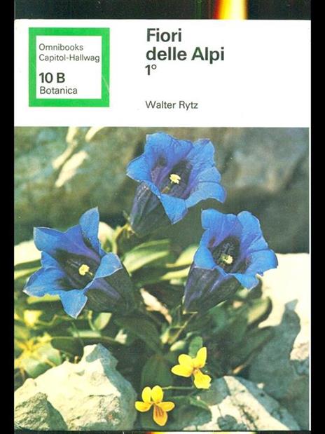 Fiori delle Alpi 1 - Walter Rytz - 2