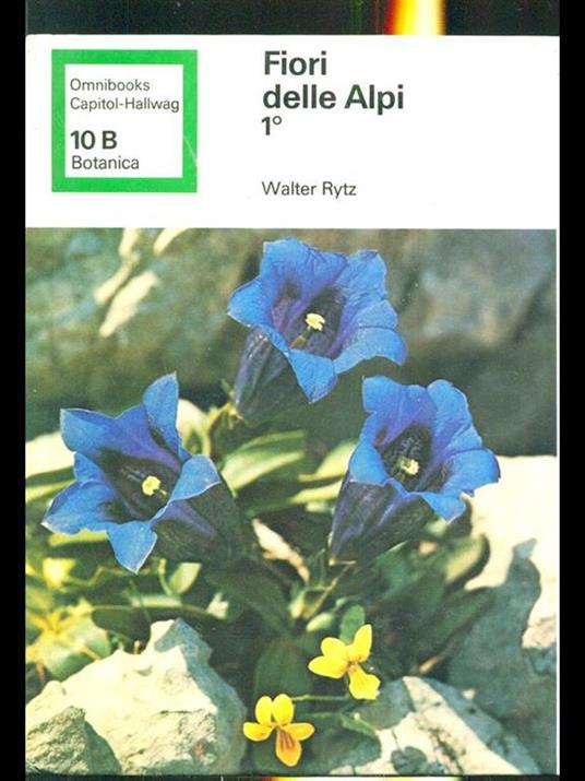 Fiori delle Alpi 1 - Walter Rytz - 7