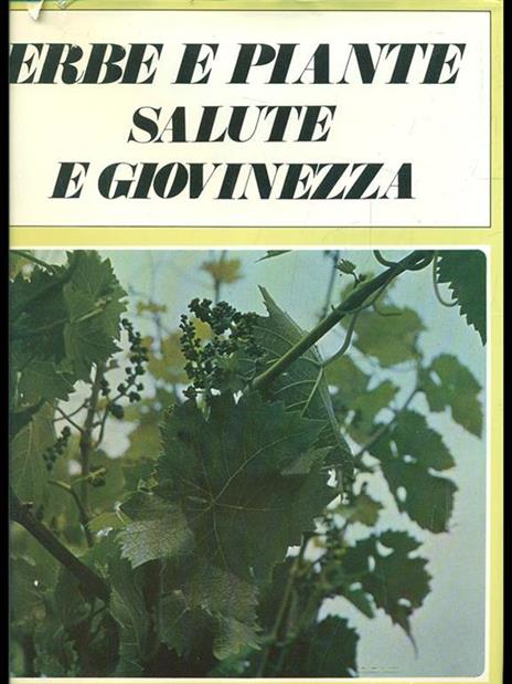 Erbe e piante salute e giovinezza - 4