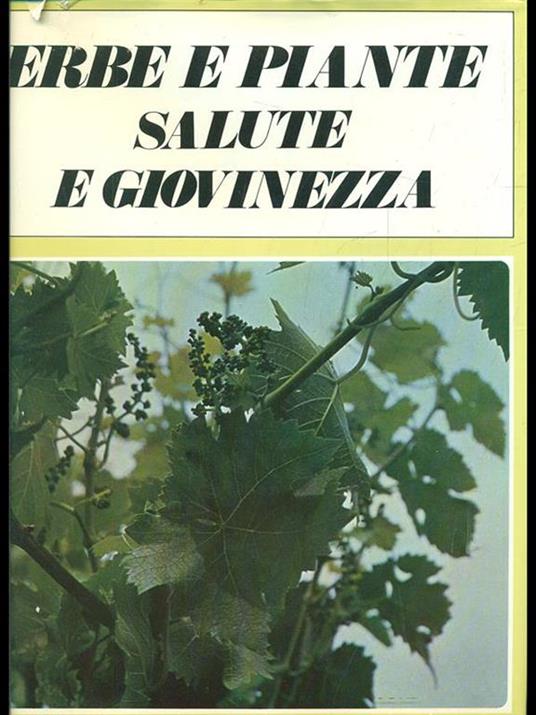 Erbe e piante salute e giovinezza - 9