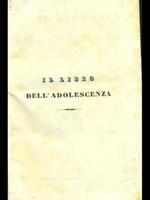 Il libro dell'adolescenza