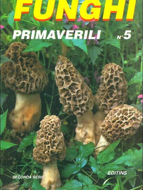 Funghi Primaverili n. 5 - copertina