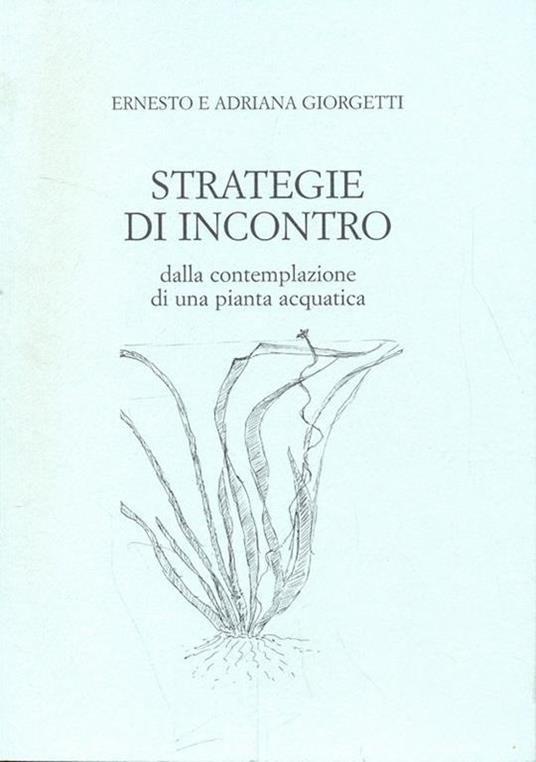 Strategie Di Incontro - copertina