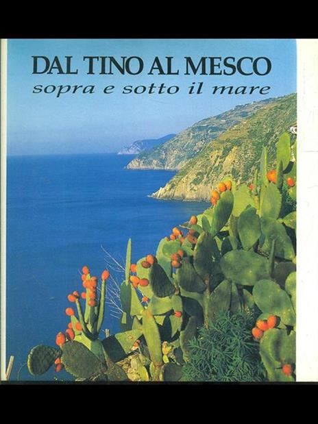 Dal Tino al Mesco, sopra e sotto il mare - 2