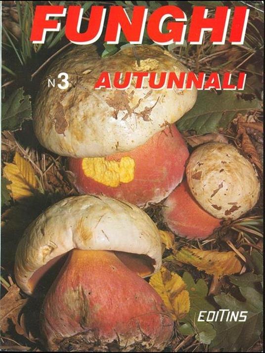 Funghi autunnali n. 3 - copertina