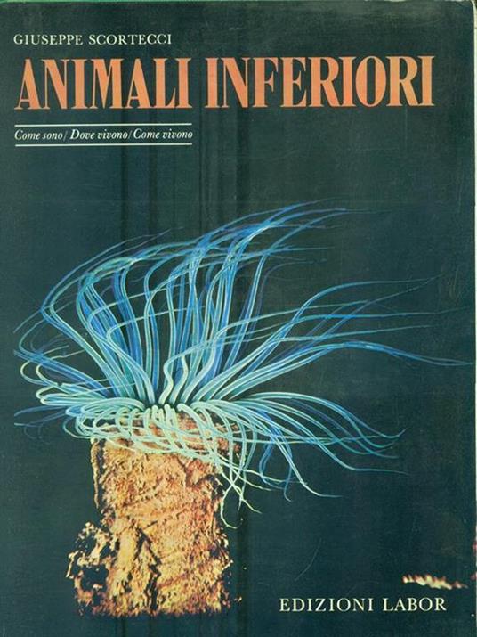 Animali inferiori - Giuseppe Scortecci - copertina