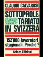 Sottoproletariato in Svizzera