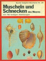 Muscheln und schnecken des meeres