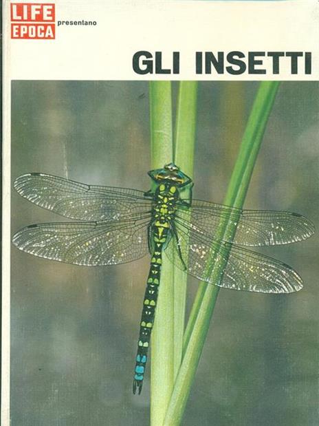 Gli insetti - Peter Farb - copertina