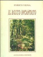 Il bosco incantato