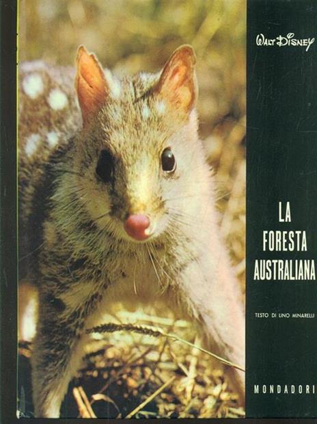 La foresta australiana - Lino Minarelli - 9