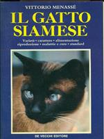 Il gatto siamese