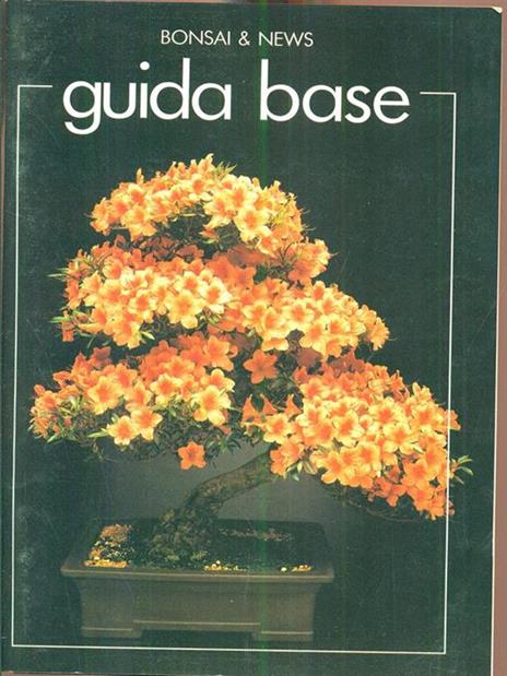 Guida base - 6