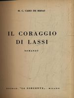 Il coraggio di Lassi