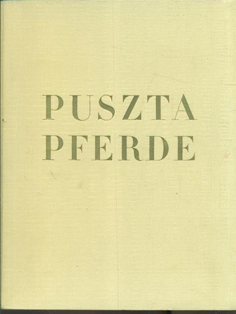 Puszta-pferde - 2