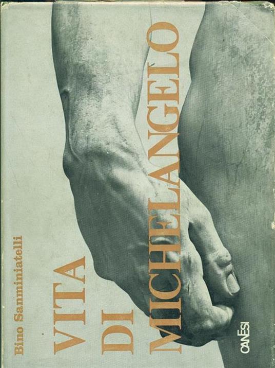 Vita di Michelangelo - Bino Sanminiatelli - copertina