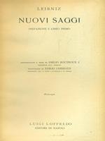 Nuovi saggi