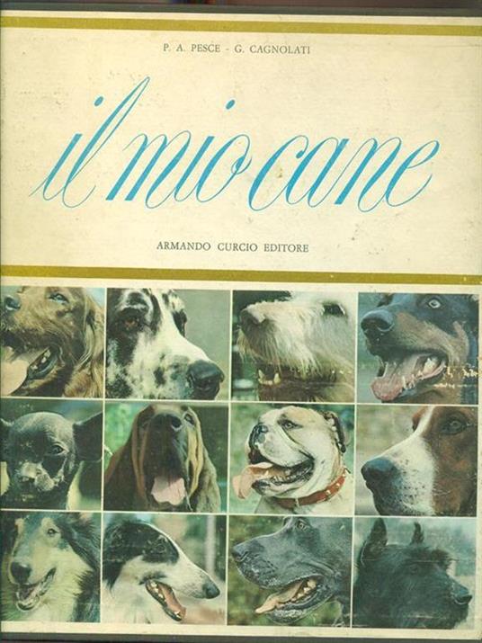 Il mio cane - Cagnolati,Pesce - copertina