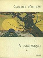 Il compagno