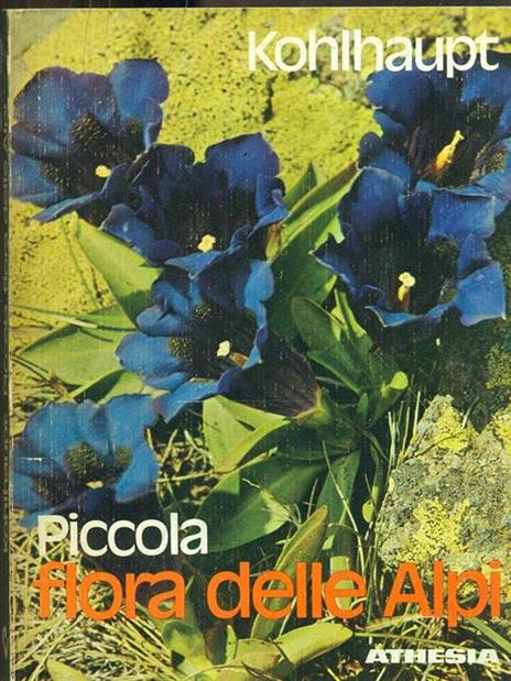 Piccola flora delle Alpi - Paula Konhlhaupt - 3